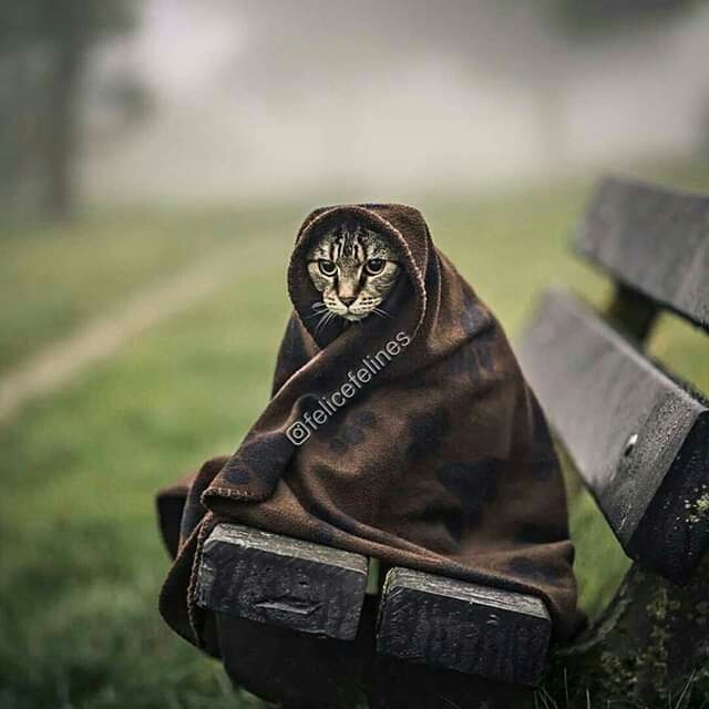 ♥♥♥♥