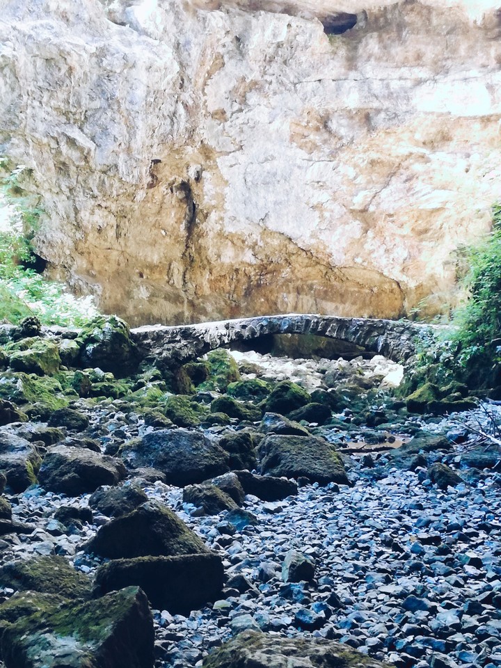 Bridge