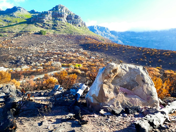 Burnt Mountain