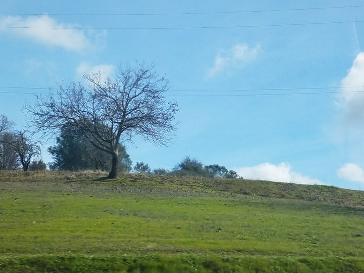 blue sky