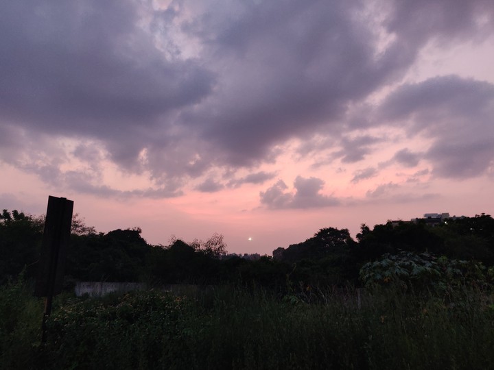 Skyline