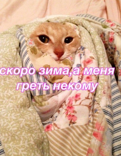 Скоро зима, а мне греть некому.