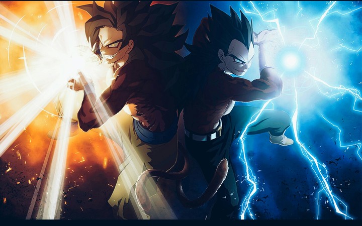 Goku/Vegeta ssj4