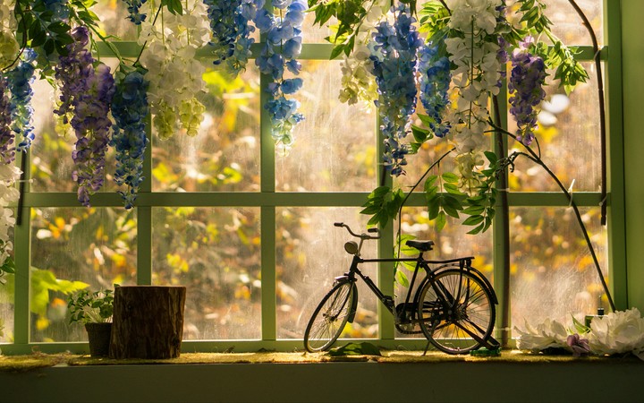 mini bike&flowers