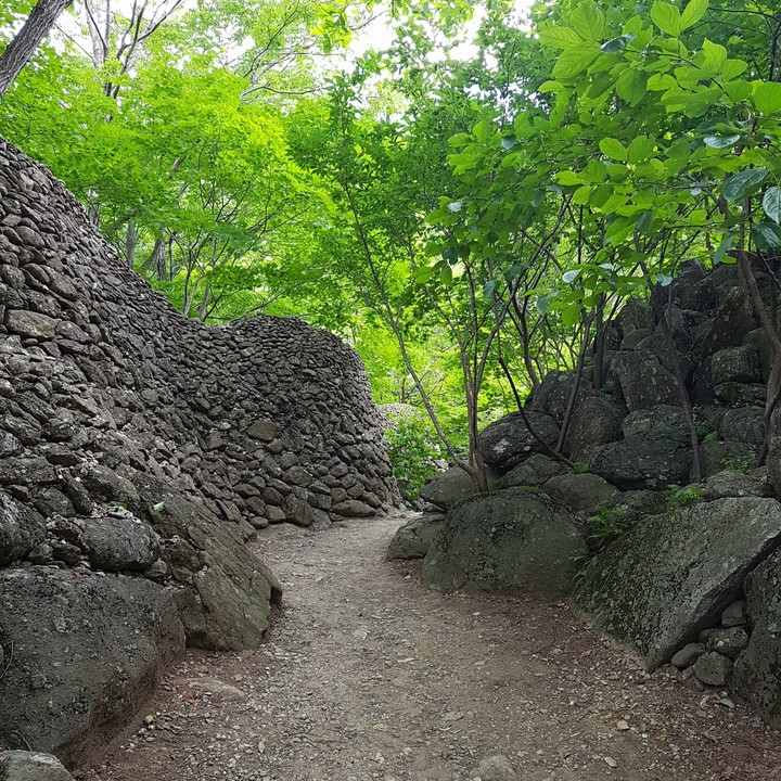 숲길