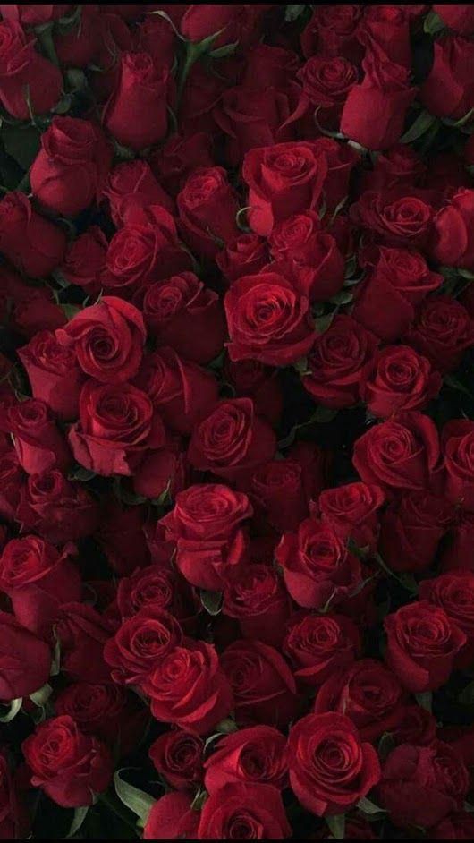 Sign of love
