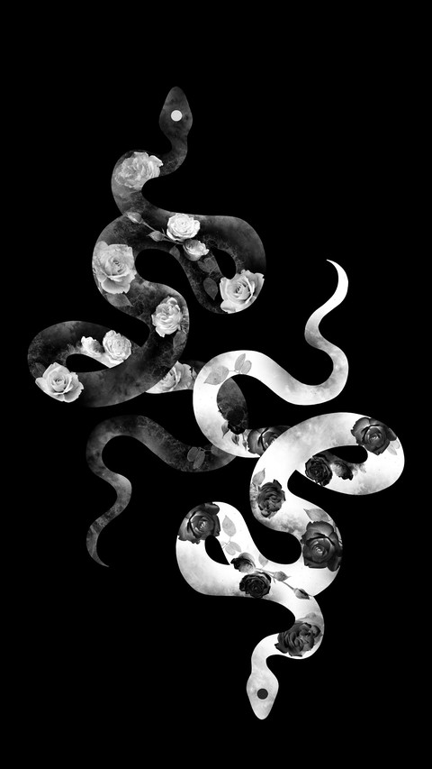 serpent, snakes वॉलपेपर