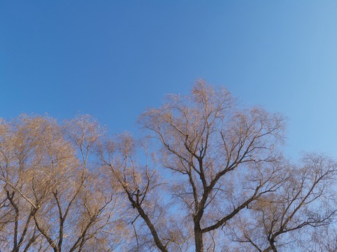 Blue sky