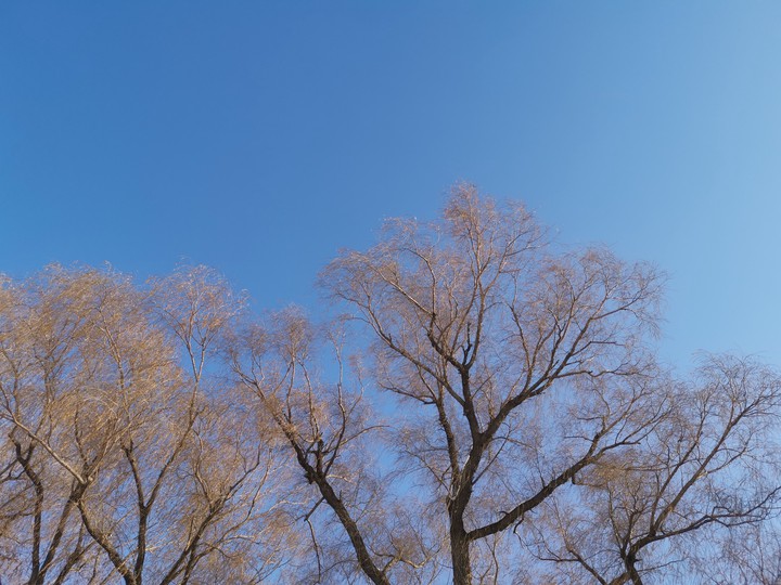 Blue sky