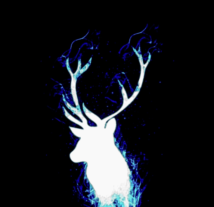 Harry's Patronus