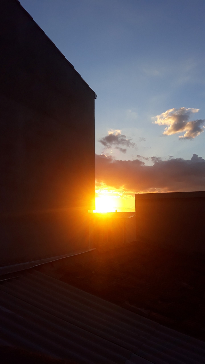 lindo