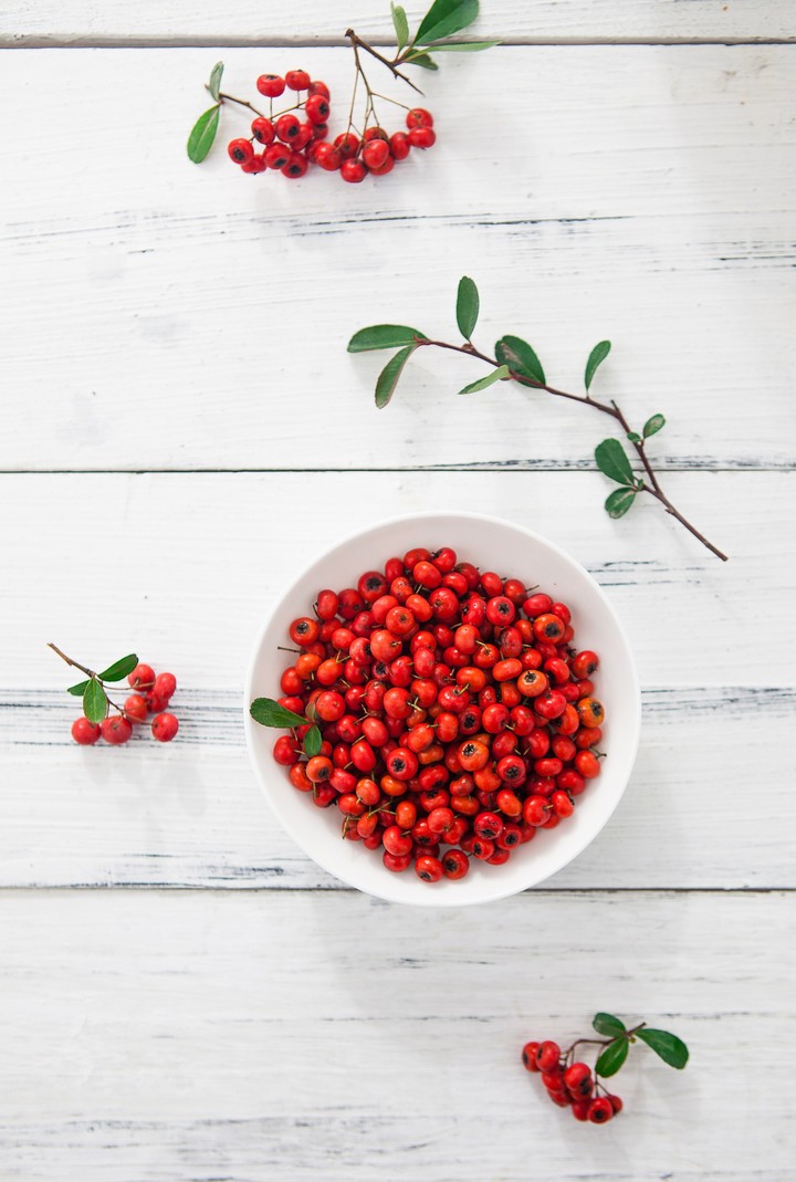 berries