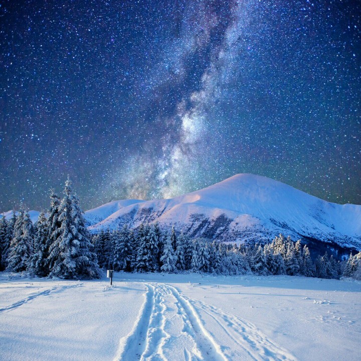 The Beauty of Snow