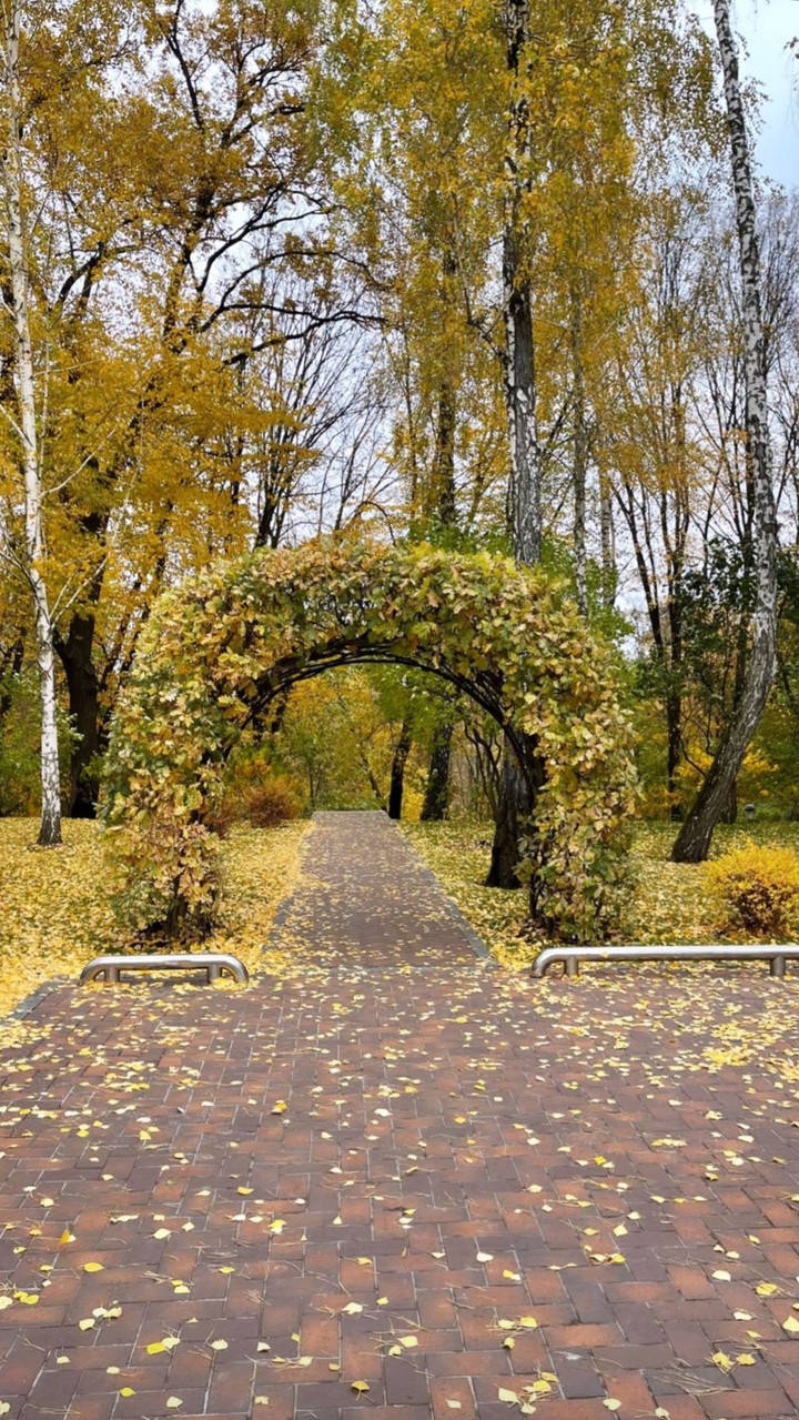 autumn
