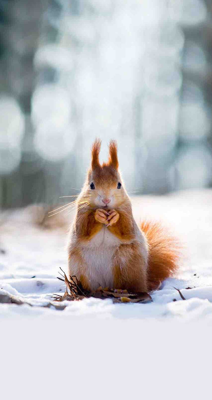 cute