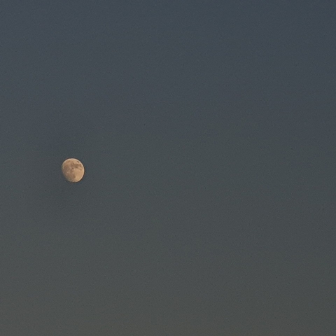 TALKING TO THE MOON