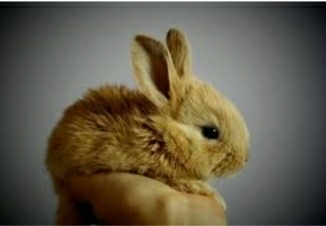 Cute 