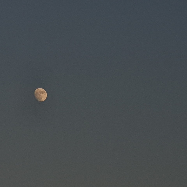 TALKING TO THE MOON