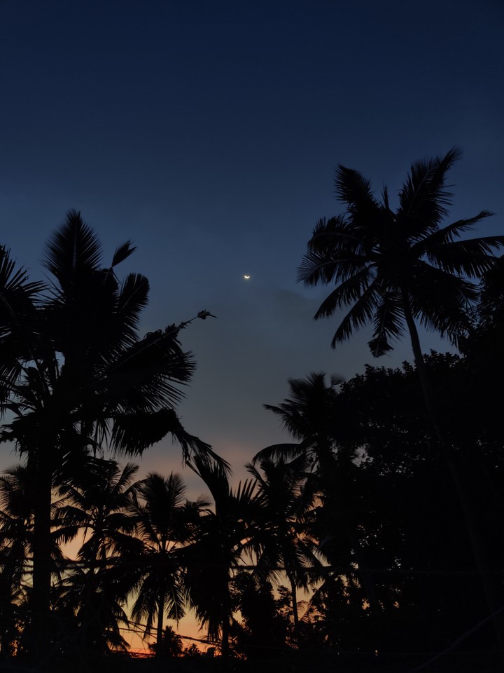 the colours of dusk