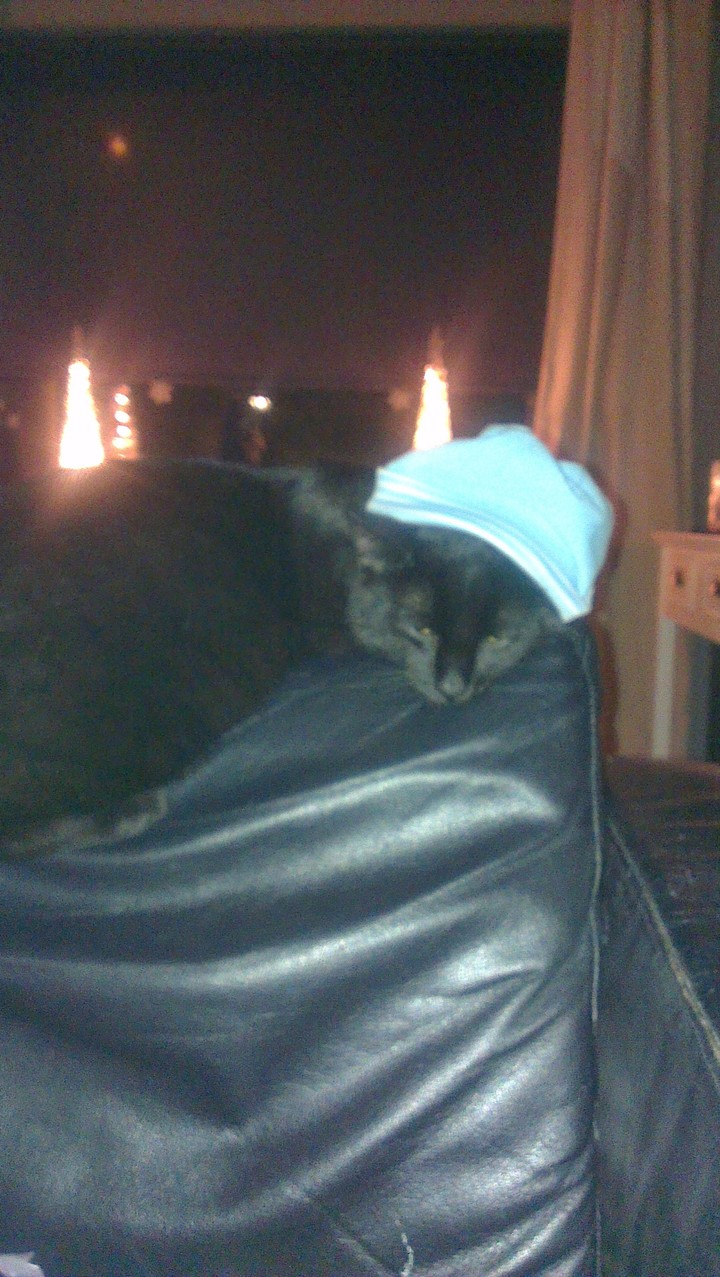 Mr. Ed and his hat