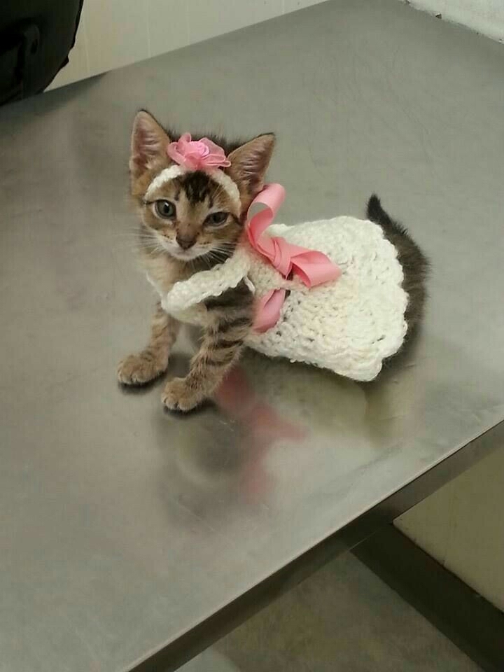 cute