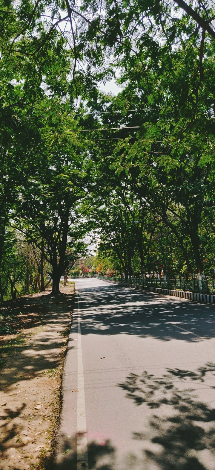 green roads