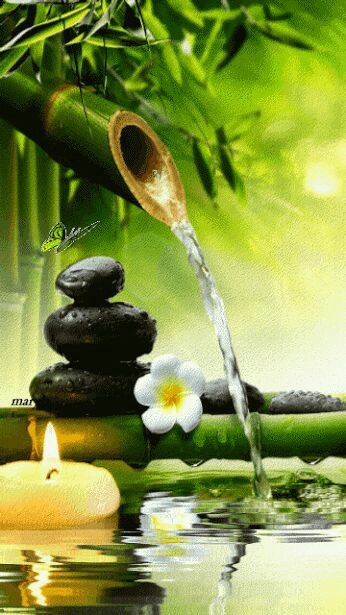 nature