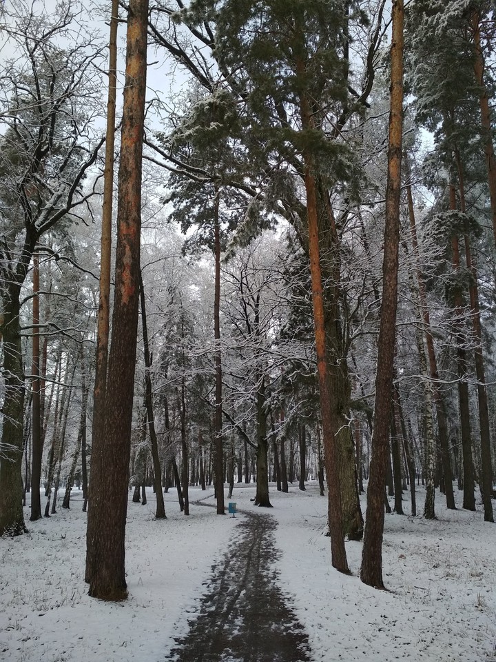 Park