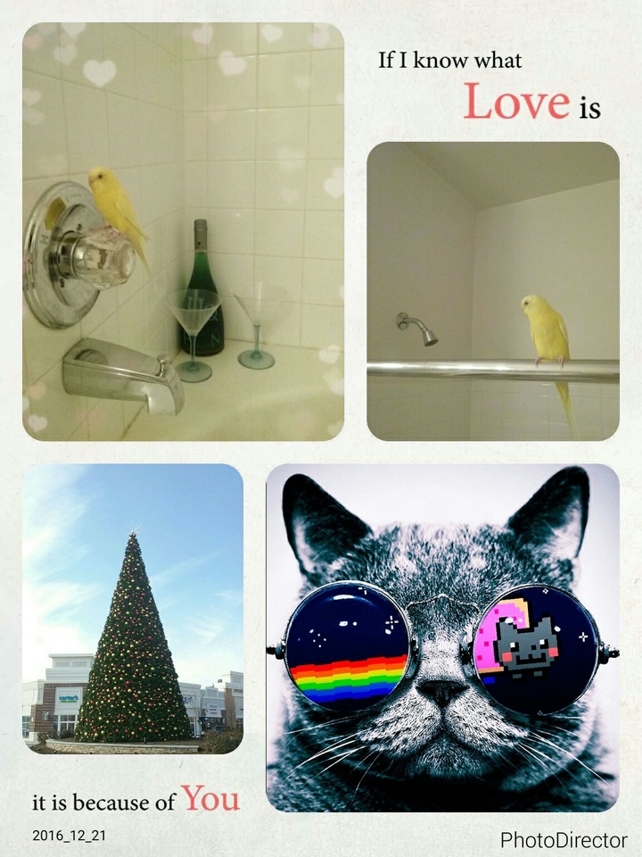 pictures