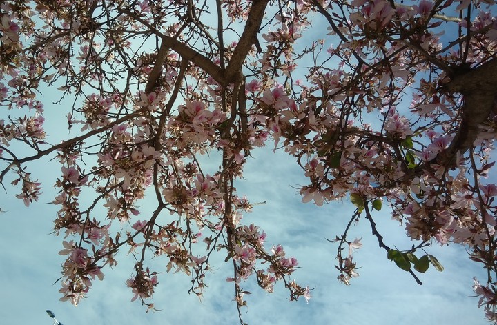 April in Gran Alacant