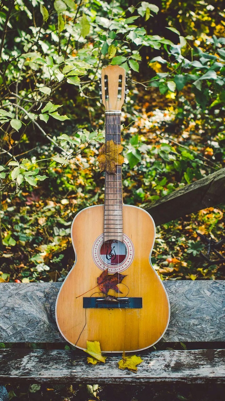 guitar :)