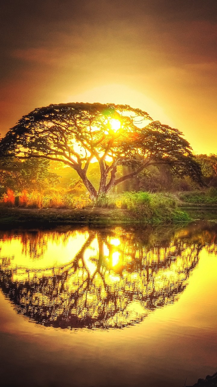 Nature