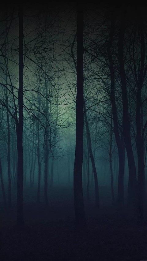 black forest