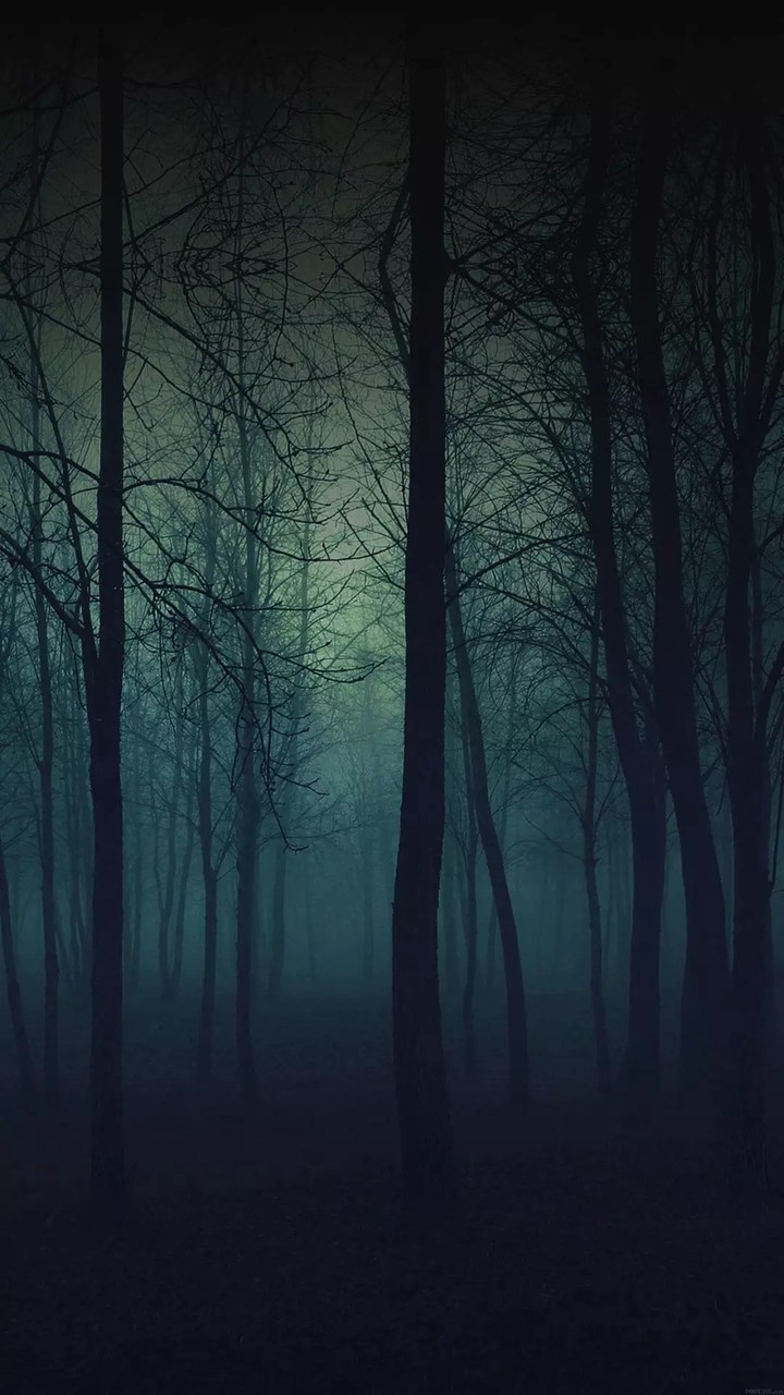 black forest
