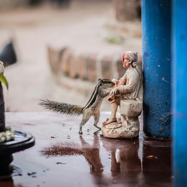 sai baba photographs