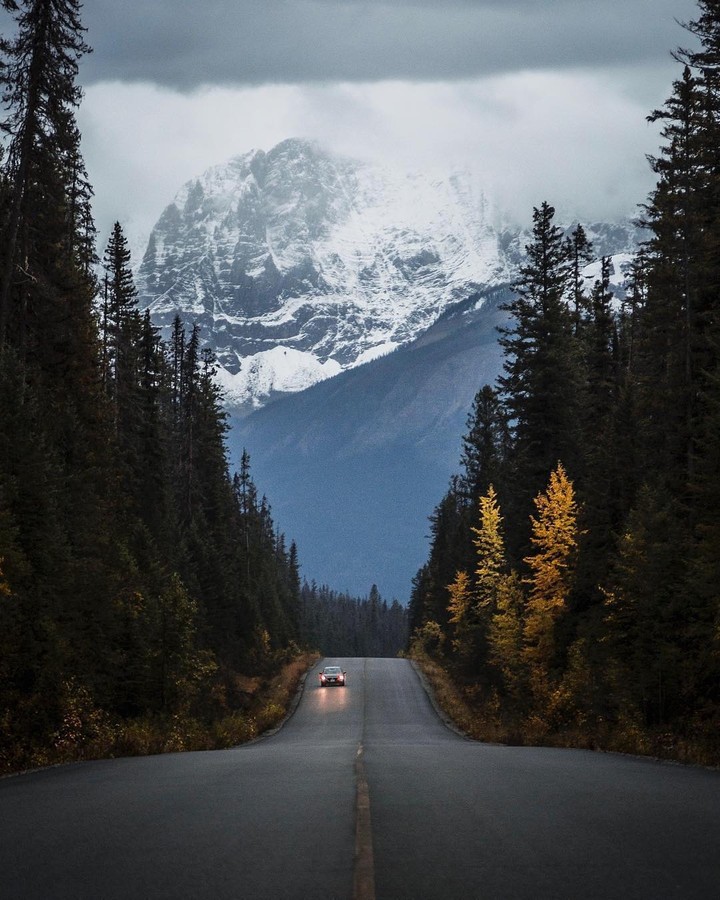 forest road
