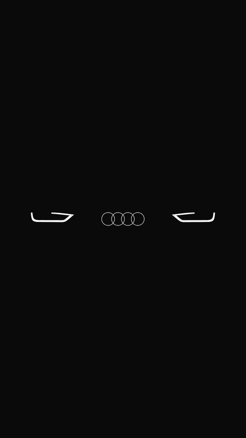 Audi head
