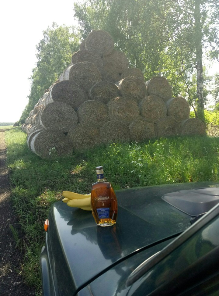 натюрморт