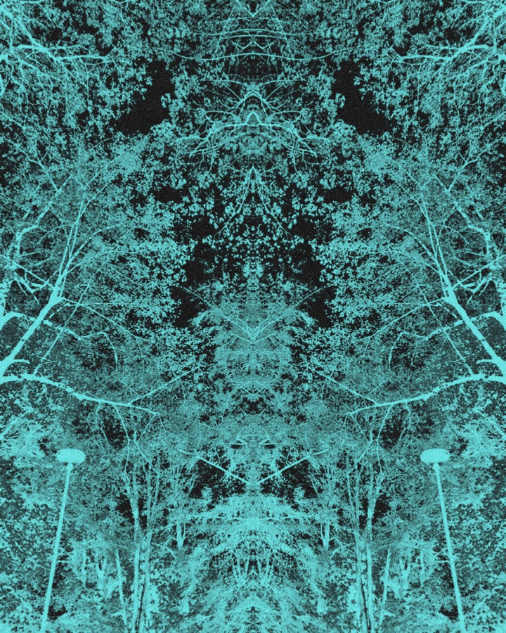 double forest