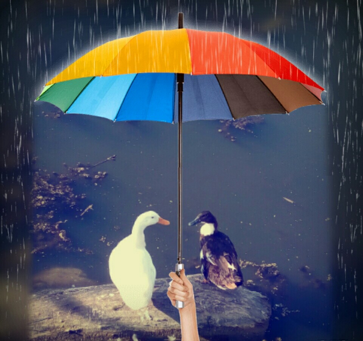 Morning dialogue))