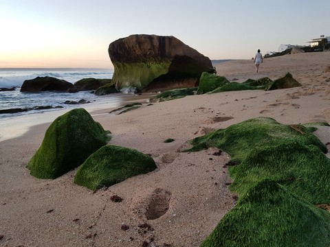 piedras verdes