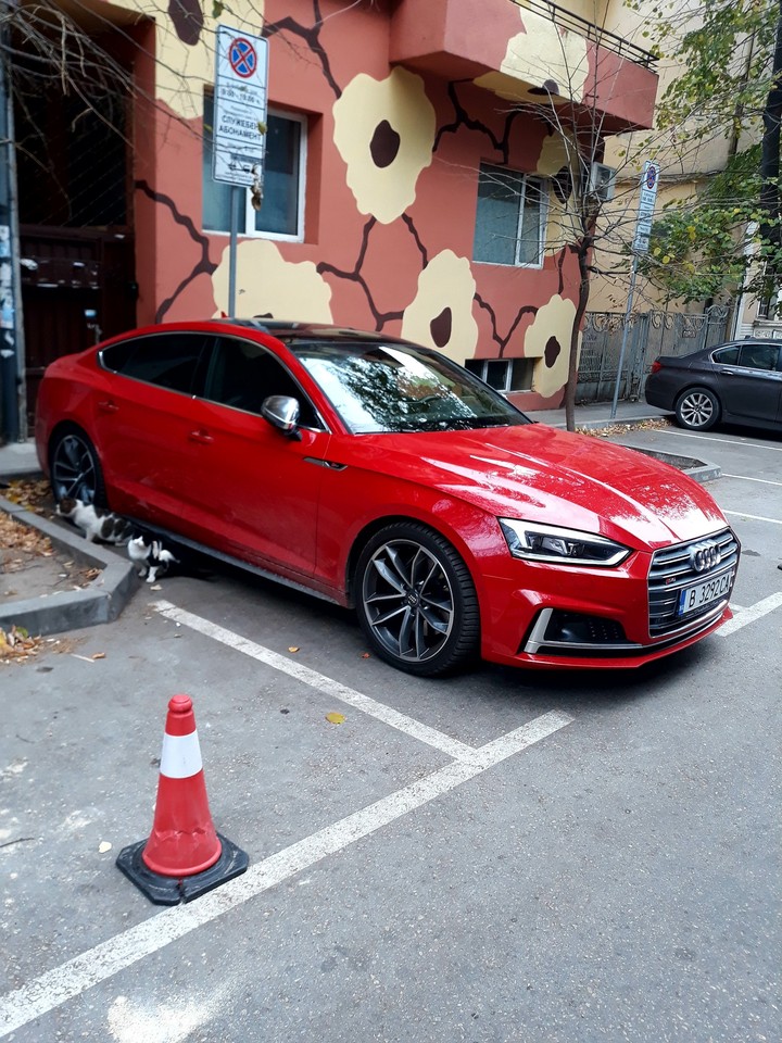 Red Audi