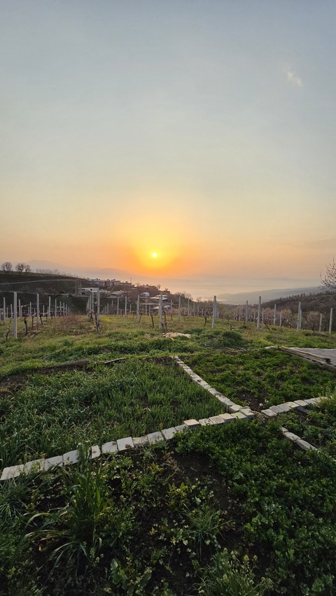 fonds d'écran landscape, sunrise