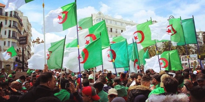 One flag one country ...Algeria