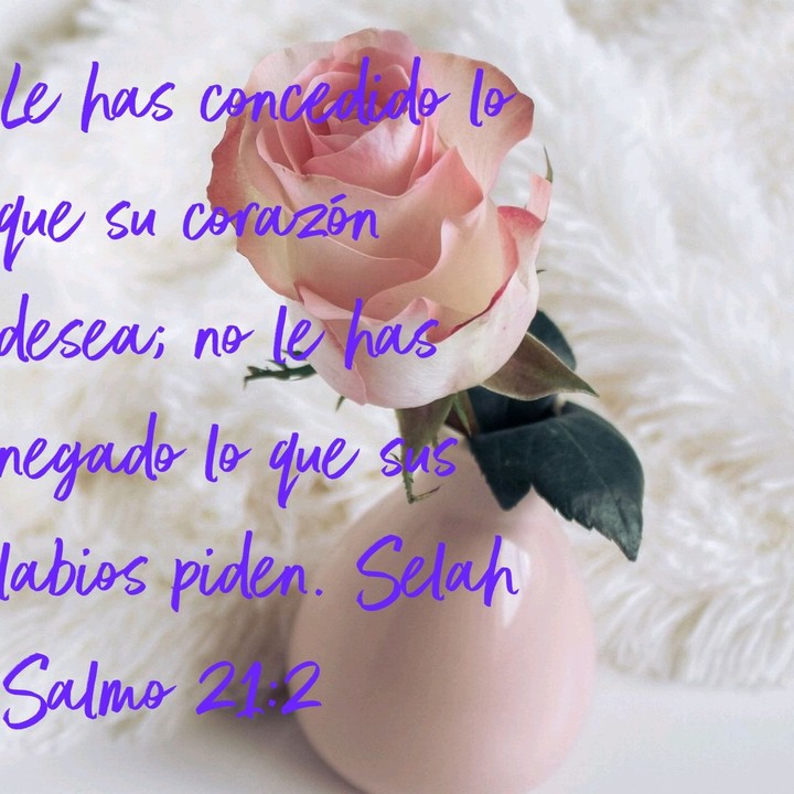 Salmos