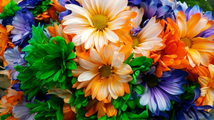 Flowers of Happiness