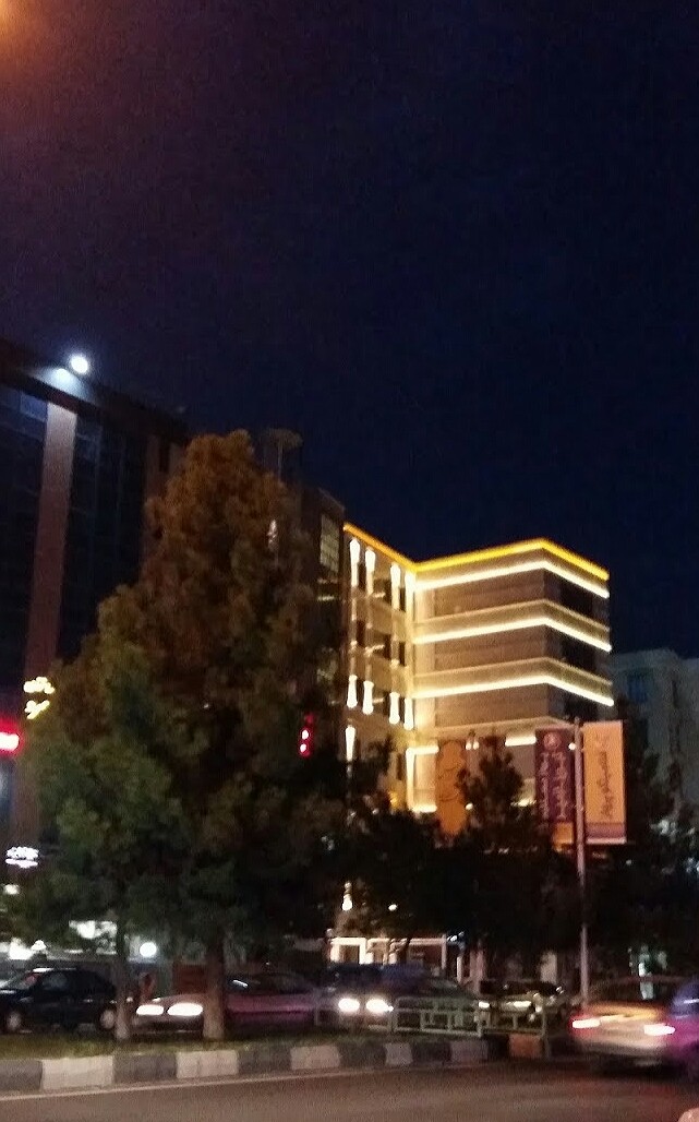 nightlife and nightlight