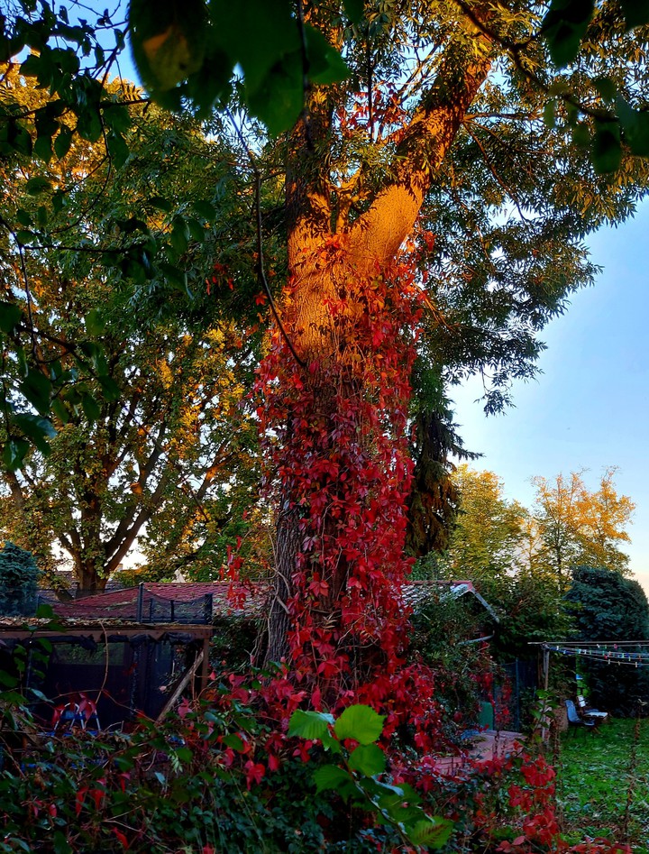 Herbstspaziergang