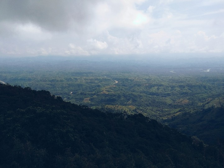 Nature