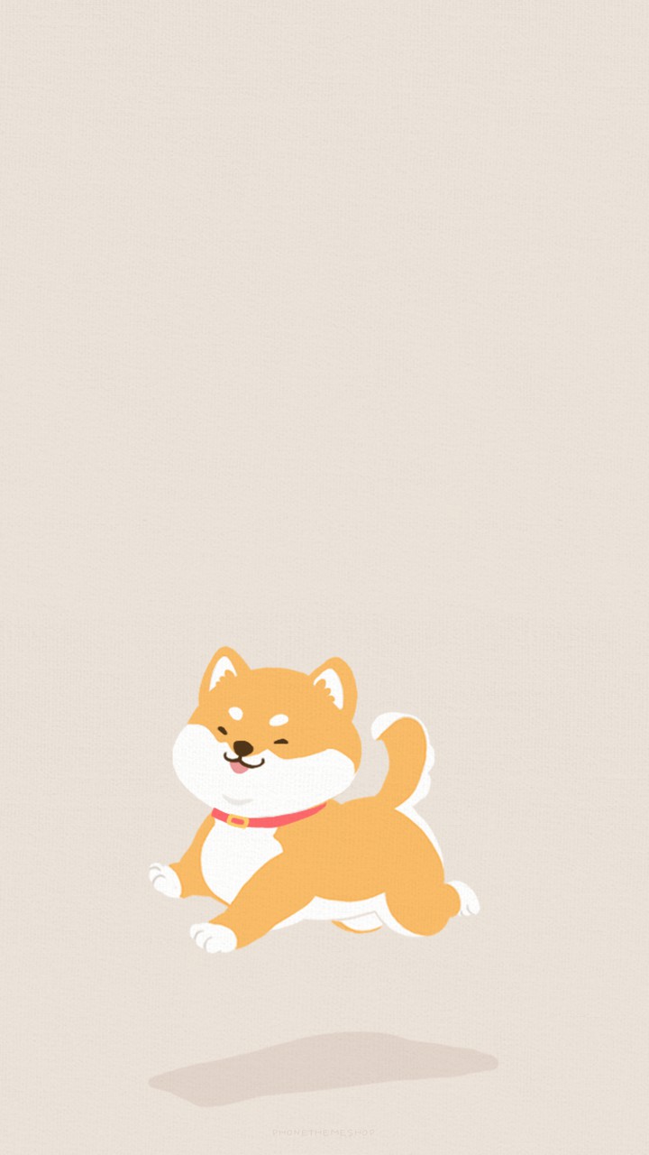 A shiba inu fly